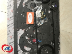 BỘ ROONG MÁY OLLIN 700 / OLLIN 900A - 5301003051EDT