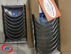 BỘ MIỄNG STD ĐỘNG CƠ YC4110ZLQ	OLLIN 800A  - 5301005014