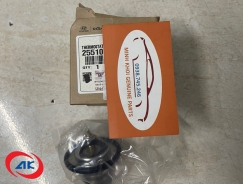 VAN HẰNG NHIỆT K200/K250 - 255104A750