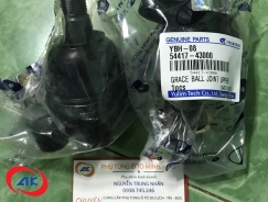 RÔ TUYN TRỤ TRÊN, POTER 2 - 54417-4300