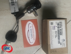 Ổ CHÌA KHÓA CỬA LH	POTER 2 - 819704FA00