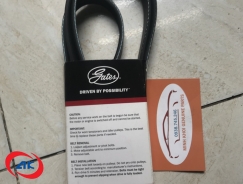 DÂY CUAROA 5PK1600	KIA BONGO 3 - K050630