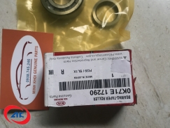 BẠC ĐẠN GIỮA THƯỚT TẦNG DƯỚI	K27/30 - 0K71E17290