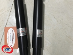 PHUỘC NHÚN SAU	TOWNER 750 - 4170065C00