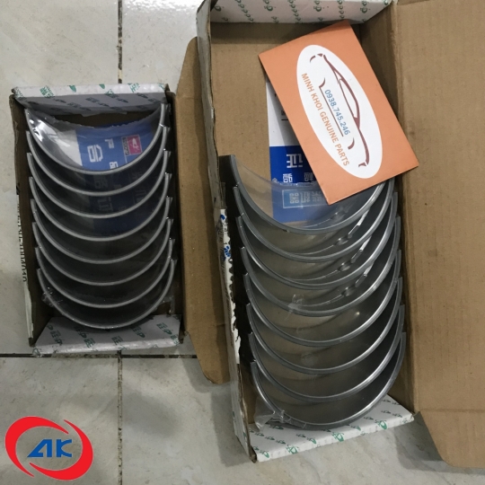 BỘ MIỄNG STD ĐỘNG CƠ YC4110ZLQ	OLLIN 800A  - 5301005014