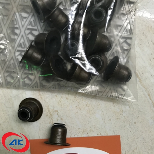 PHỐT GÍT XUPAP AUMAN C160 - 3955393