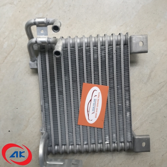 KÉT GIẢI NHIỆT NHỚT TURBO	POTER 2 - 264104F000