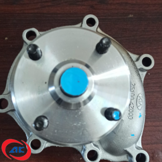 BƠM NƯỚC ĐỘNG CƠ	KIA K3000 - 251004Z000