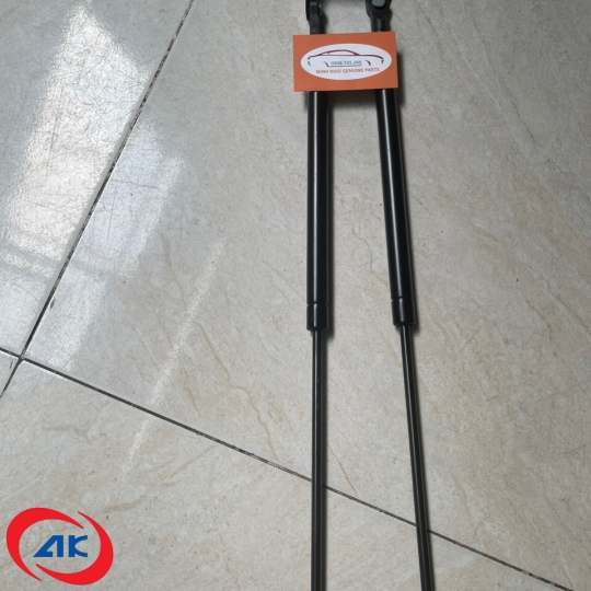 TY CAPO DONGFEN BEN 15T 375 - 5704150-C0300