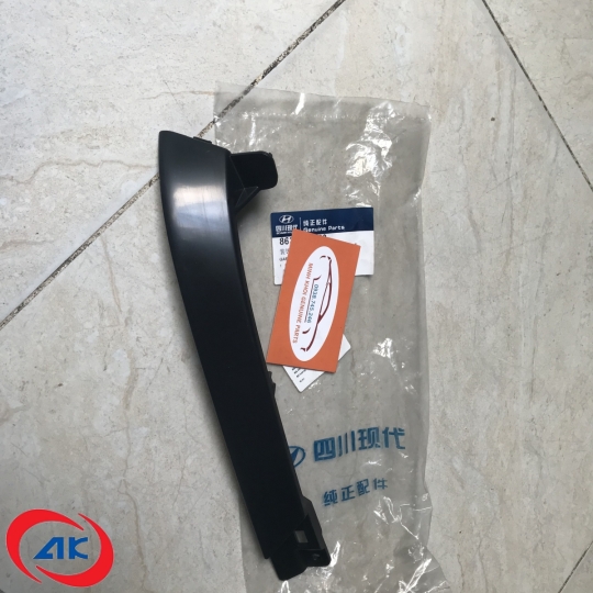 CUA ROONG DƯỚI ĐÈN PHA TRÁI EX8 - 863405P000
